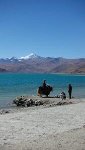 Scenic view of a Tibetan lake with people and yak, framed by snow-capped mountains.